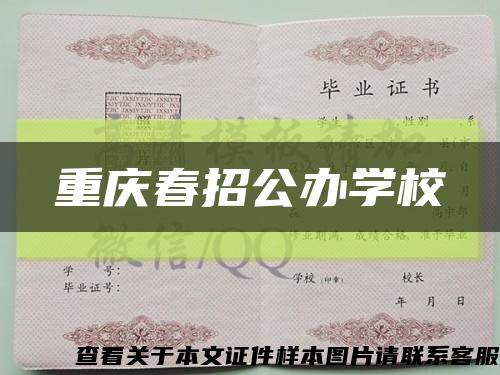重庆春招公办学校缩略图
