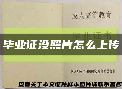 毕业证没照片怎么上传缩略图