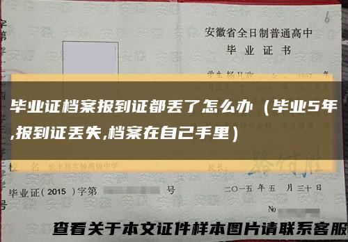 毕业证档案报到证都丢了怎么办（毕业5年,报到证丢失,档案在自己手里）缩略图