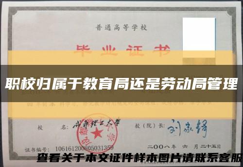 职校归属于教育局还是劳动局管理缩略图