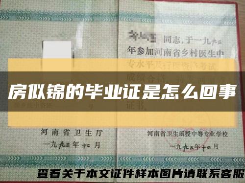 房似锦的毕业证是怎么回事缩略图