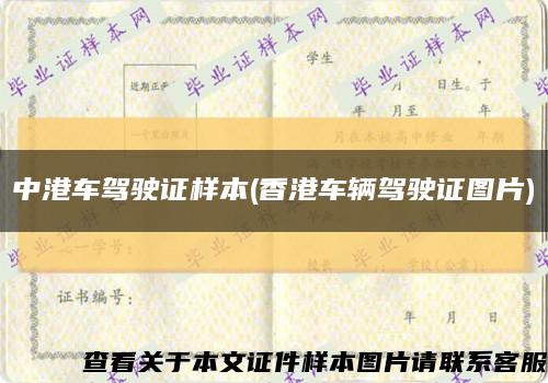 中港车驾驶证样本(香港车辆驾驶证图片)缩略图
