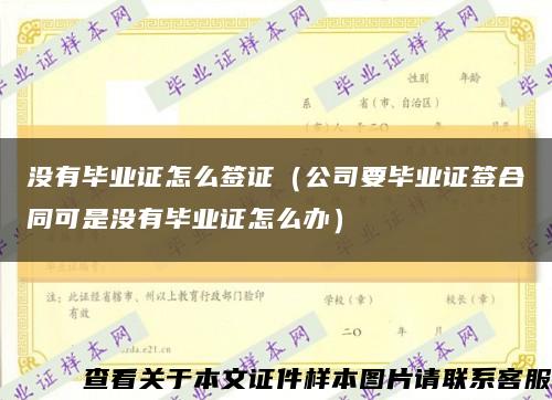 没有毕业证怎么签证（公司要毕业证签合同可是没有毕业证怎么办）缩略图