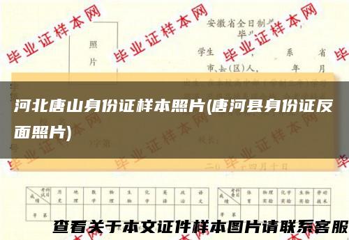 河北唐山身份证样本照片(唐河县身份证反面照片)缩略图