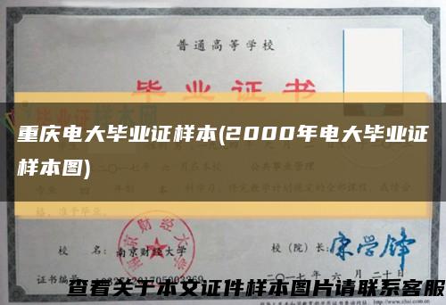重庆电大毕业证样本(2000年电大毕业证样本图)缩略图