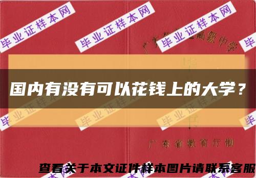 国内有没有可以花钱上的大学？缩略图
