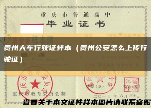 贵州大车行驶证样本（贵州公安怎么上传行驶证）缩略图