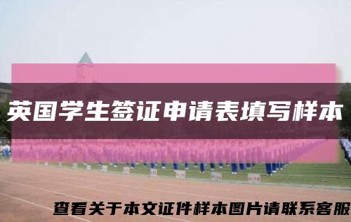 英国学生签证申请表填写样本缩略图