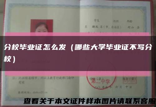 分校毕业证怎么发（哪些大学毕业证不写分校）缩略图