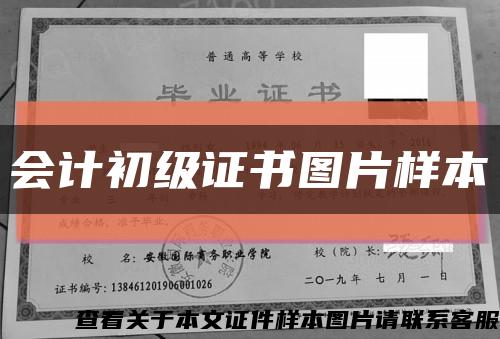 会计初级证书图片样本缩略图