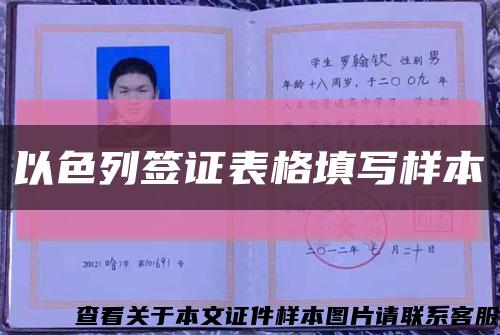 以色列签证表格填写样本缩略图