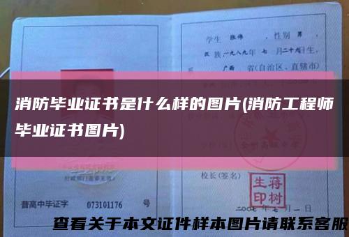 消防毕业证书是什么样的图片(消防工程师毕业证书图片)缩略图