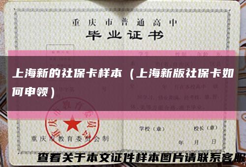 上海新的社保卡样本（上海新版社保卡如何申领）缩略图