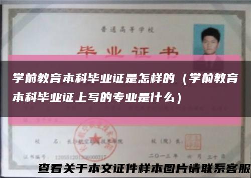 学前教育本科毕业证是怎样的（学前教育本科毕业证上写的专业是什么）缩略图