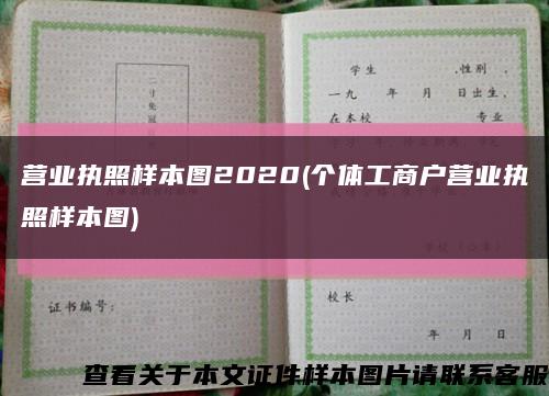 营业执照样本图2020(个体工商户营业执照样本图)缩略图
