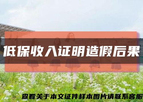 低保收入证明造假后果缩略图