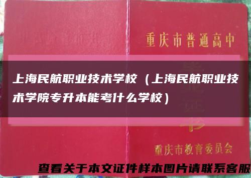 上海民航职业技术学校（上海民航职业技术学院专升本能考什么学校）缩略图