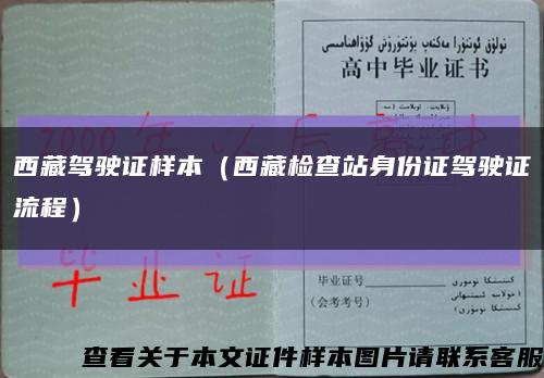 西藏驾驶证样本（西藏检查站身份证驾驶证流程）缩略图