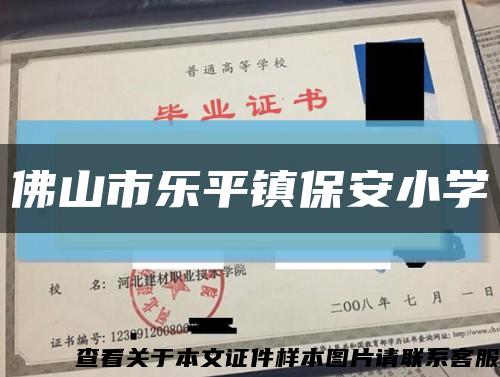 佛山市乐平镇保安小学缩略图