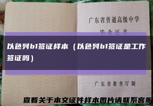 以色列b1签证样本（以色列b1签证是工作签证吗）缩略图