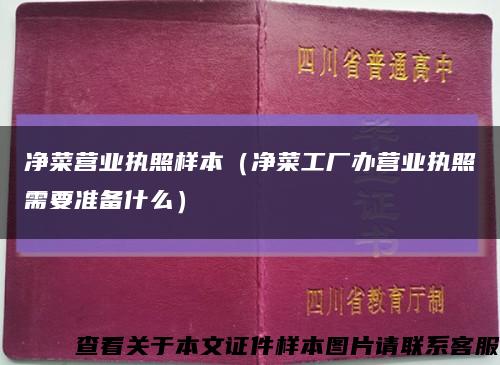净菜营业执照样本（净菜工厂办营业执照需要准备什么）缩略图