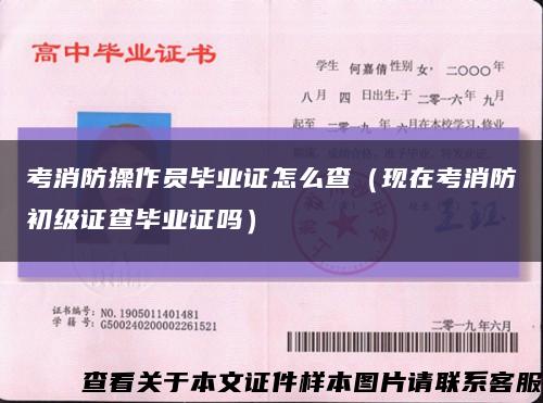 考消防操作员毕业证怎么查（现在考消防初级证查毕业证吗）缩略图