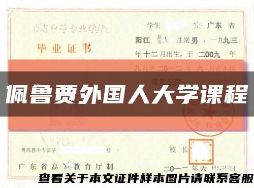 佩鲁贾外国人大学课程缩略图