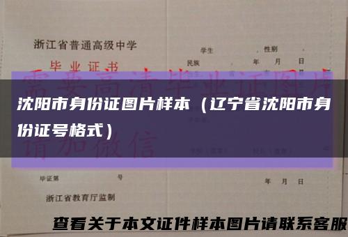 沈阳市身份证图片样本（辽宁省沈阳市身份证号格式）缩略图