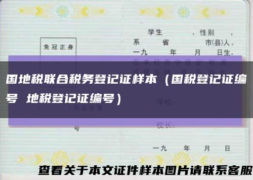 国地税联合税务登记证样本（国税登记证编号 地税登记证编号）缩略图