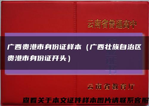 广西贵港市身份证样本（广西壮族自治区贵港市身份证开头）缩略图