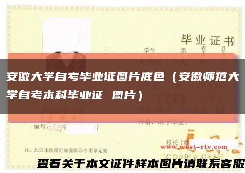 安徽大学自考毕业证图片底色（安徽师范大学自考本科毕业证 图片）缩略图