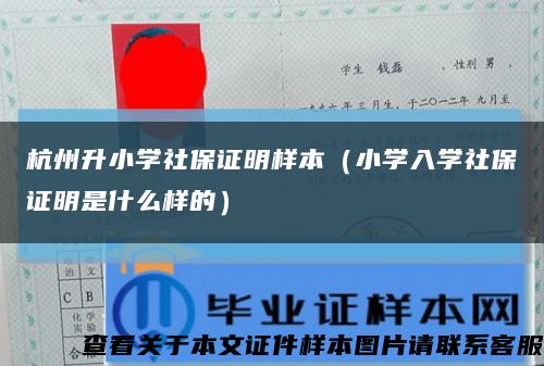 杭州升小学社保证明样本（小学入学社保证明是什么样的）缩略图