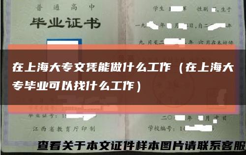 在上海大专文凭能做什么工作（在上海大专毕业可以找什么工作）缩略图