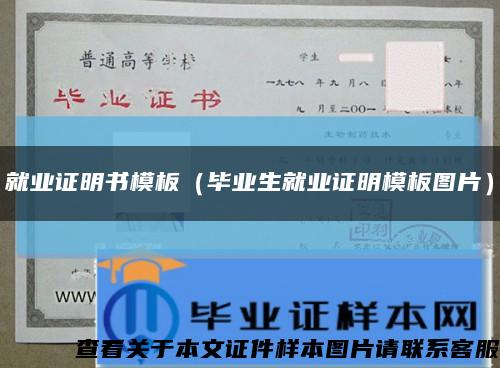 就业证明书模板（毕业生就业证明模板图片）缩略图