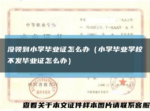 没领到小学毕业证怎么办（小学毕业学校不发毕业证怎么办）缩略图