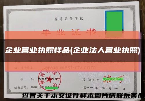 企业营业执照样品(企业法人营业执照)缩略图