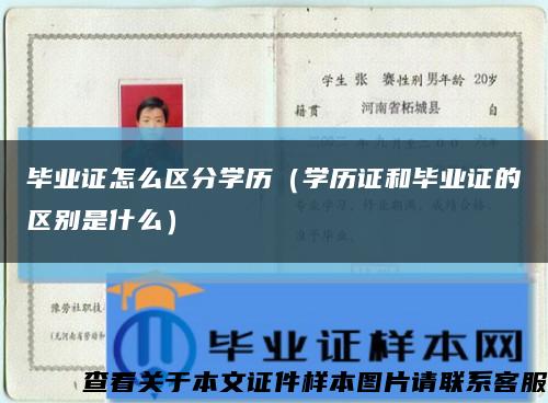 毕业证怎么区分学历（学历证和毕业证的区别是什么）缩略图