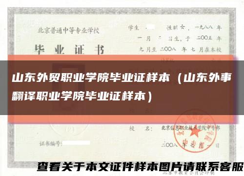 山东外贸职业学院毕业证样本（山东外事翻译职业学院毕业证样本）缩略图