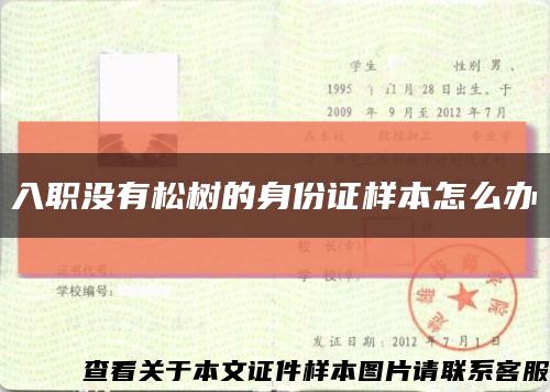 入职没有松树的身份证样本怎么办缩略图