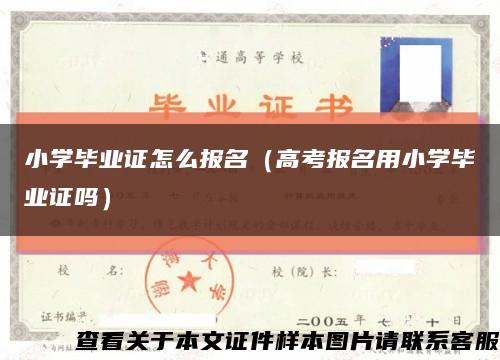 小学毕业证怎么报名（高考报名用小学毕业证吗）缩略图