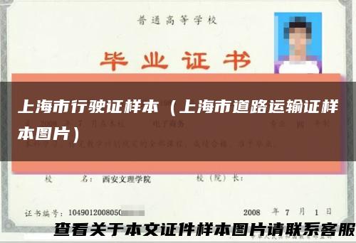 上海市行驶证样本（上海市道路运输证样本图片）缩略图