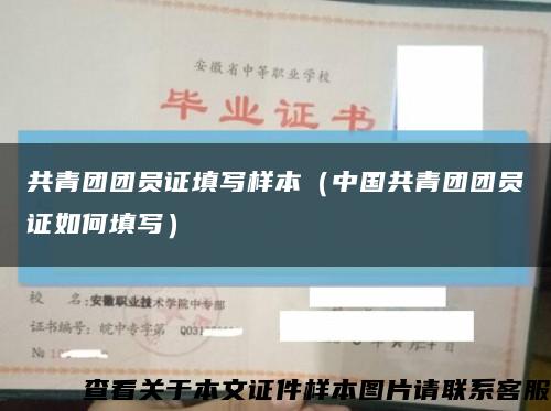 共青团团员证填写样本（中国共青团团员证如何填写）缩略图