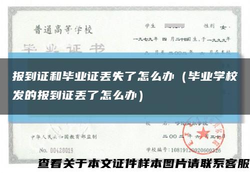 报到证和毕业证丢失了怎么办（毕业学校发的报到证丢了怎么办）缩略图