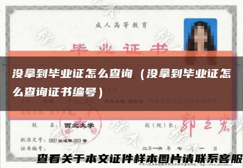 没拿到毕业证怎么查询（没拿到毕业证怎么查询证书编号）缩略图