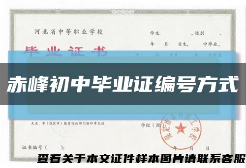 赤峰初中毕业证编号方式缩略图