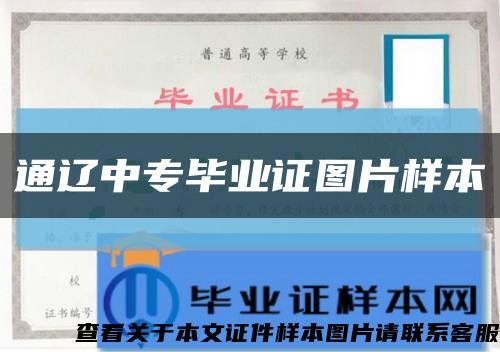 通辽中专毕业证图片样本缩略图