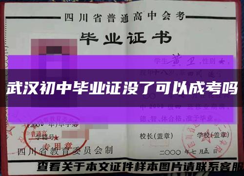 武汉初中毕业证没了可以成考吗缩略图