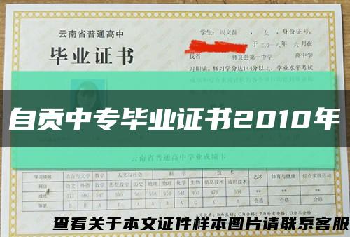 自贡中专毕业证书2010年缩略图