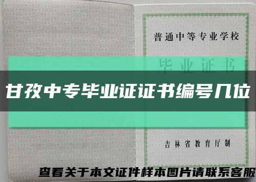 甘孜中专毕业证证书编号几位缩略图