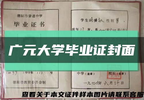 广元大学毕业证封面缩略图